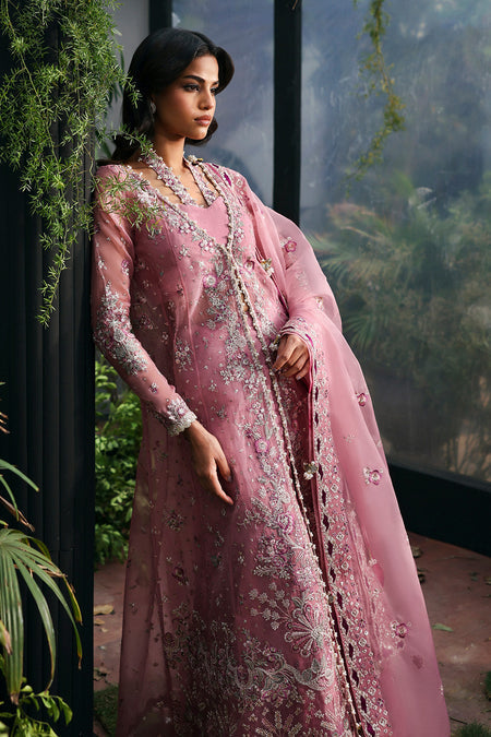 Afrozeh | La Fuschia 25 | Seraira