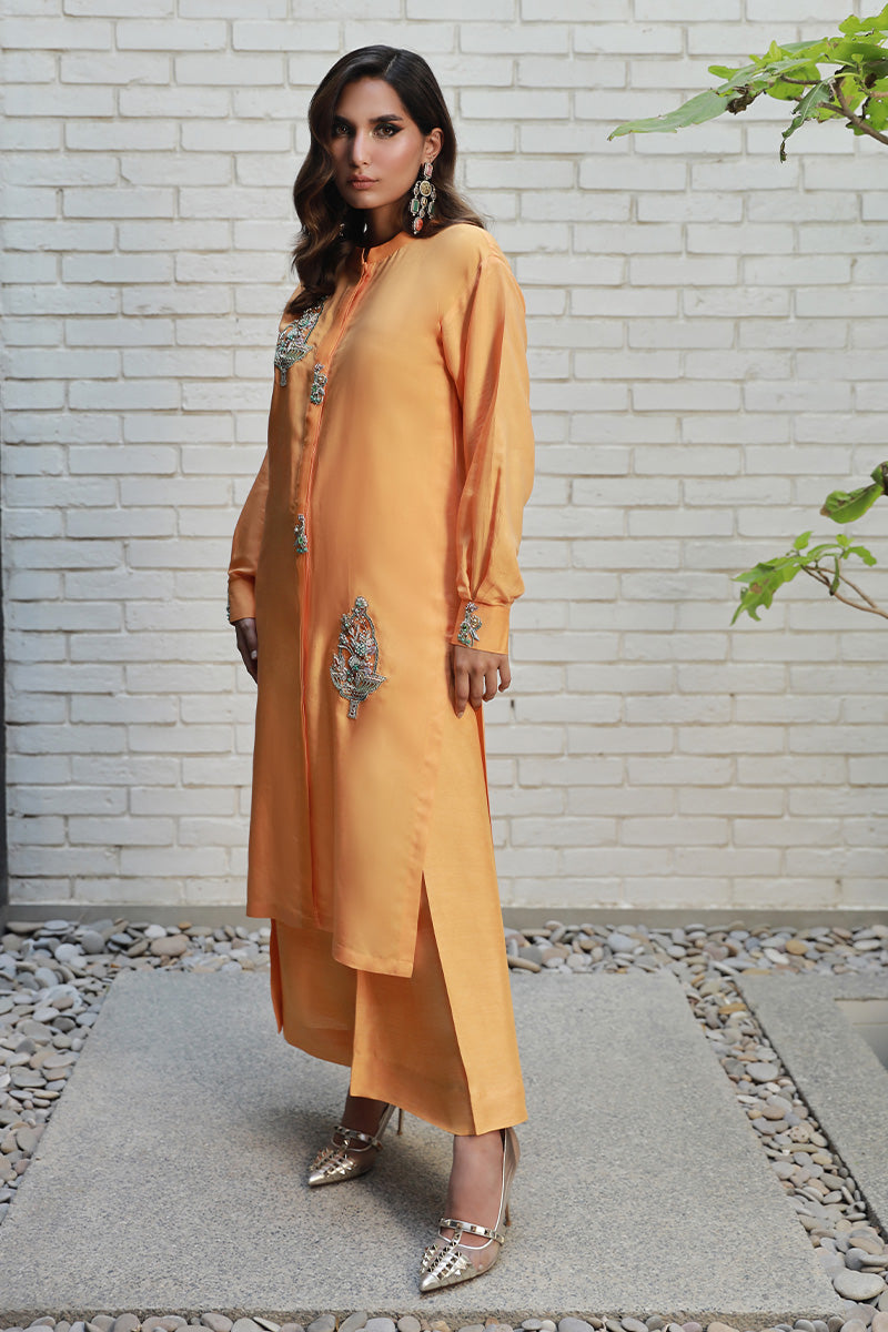 Wardha Saleem | Luxury Pret Traditional Wear | ARZA - Riwayat-e-Khas