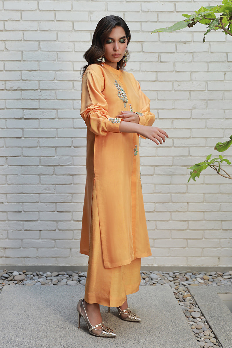 Wardha Saleem | Luxury Pret Traditional Wear | ARZA - Riwayat-e-Khas