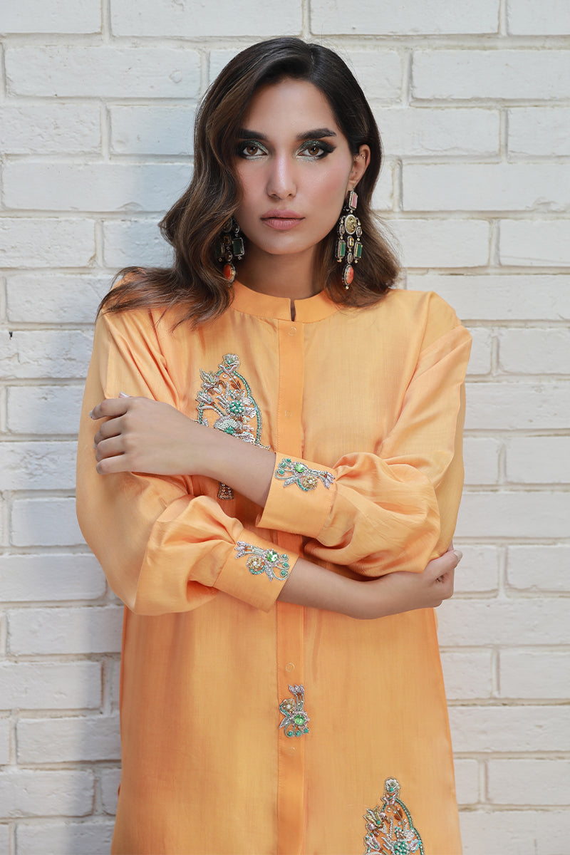 Wardha Saleem | Luxury Pret Traditional Wear | ARZA - Riwayat-e-Khas