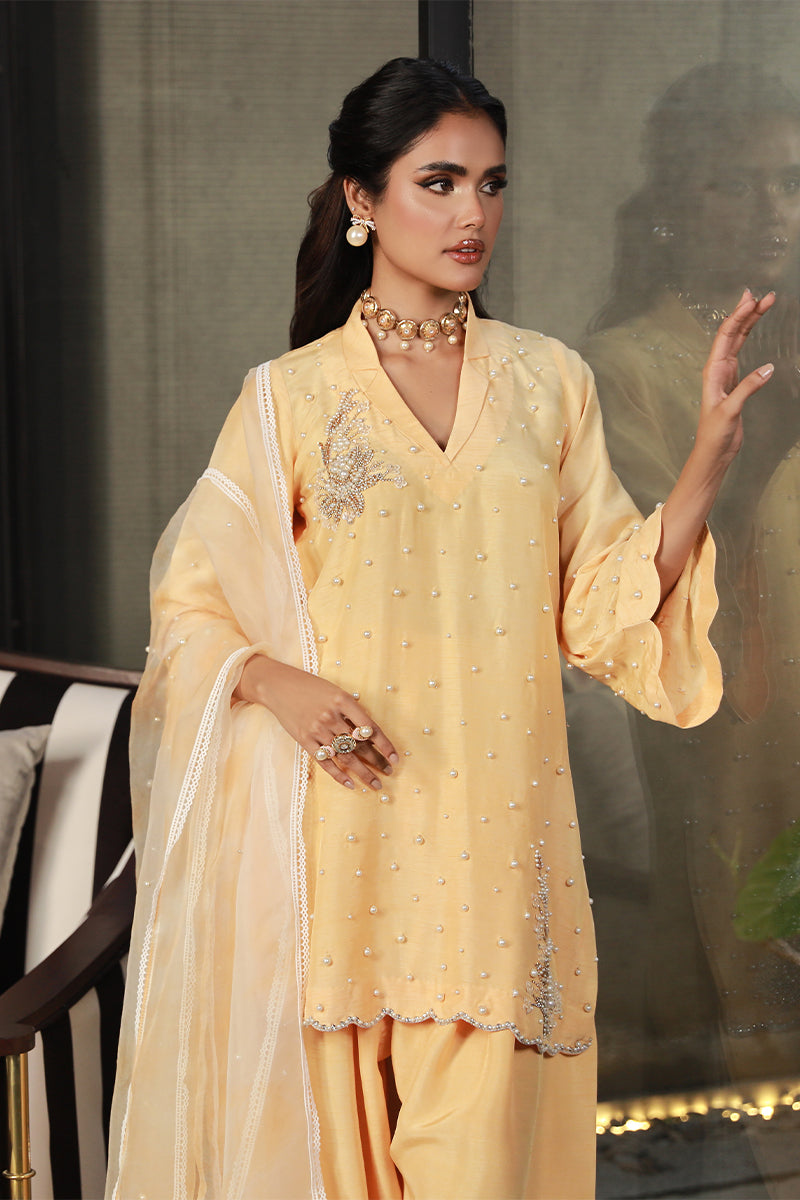Wardha Saleem | Luxury Pret Traditional Wear | ZARIA - Riwayat-e-Khas