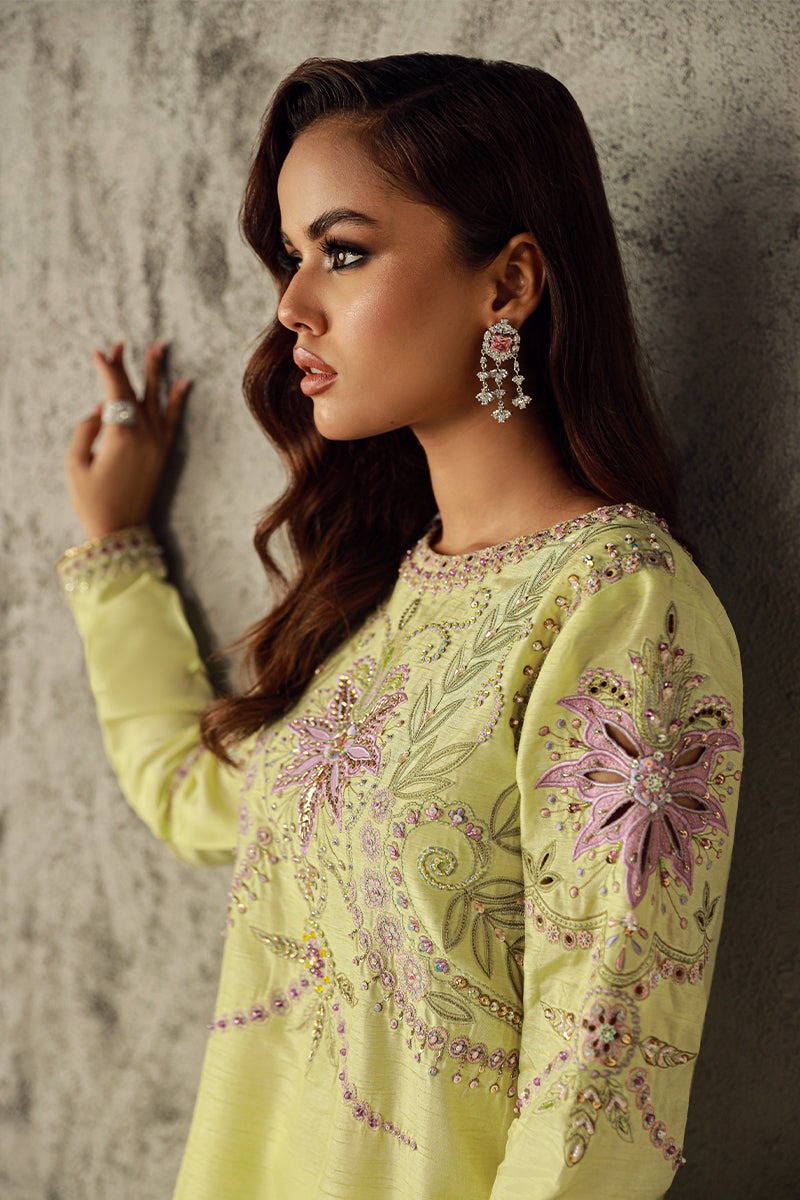 Wardha Saleem | Luxury Pret Traditional Wear | NAWAL - Riwayat-e-Khas