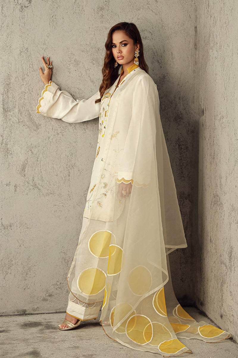 Wardha Saleem | Luxury Pret Traditional Wear | SUHA - Riwayat-e-Khas