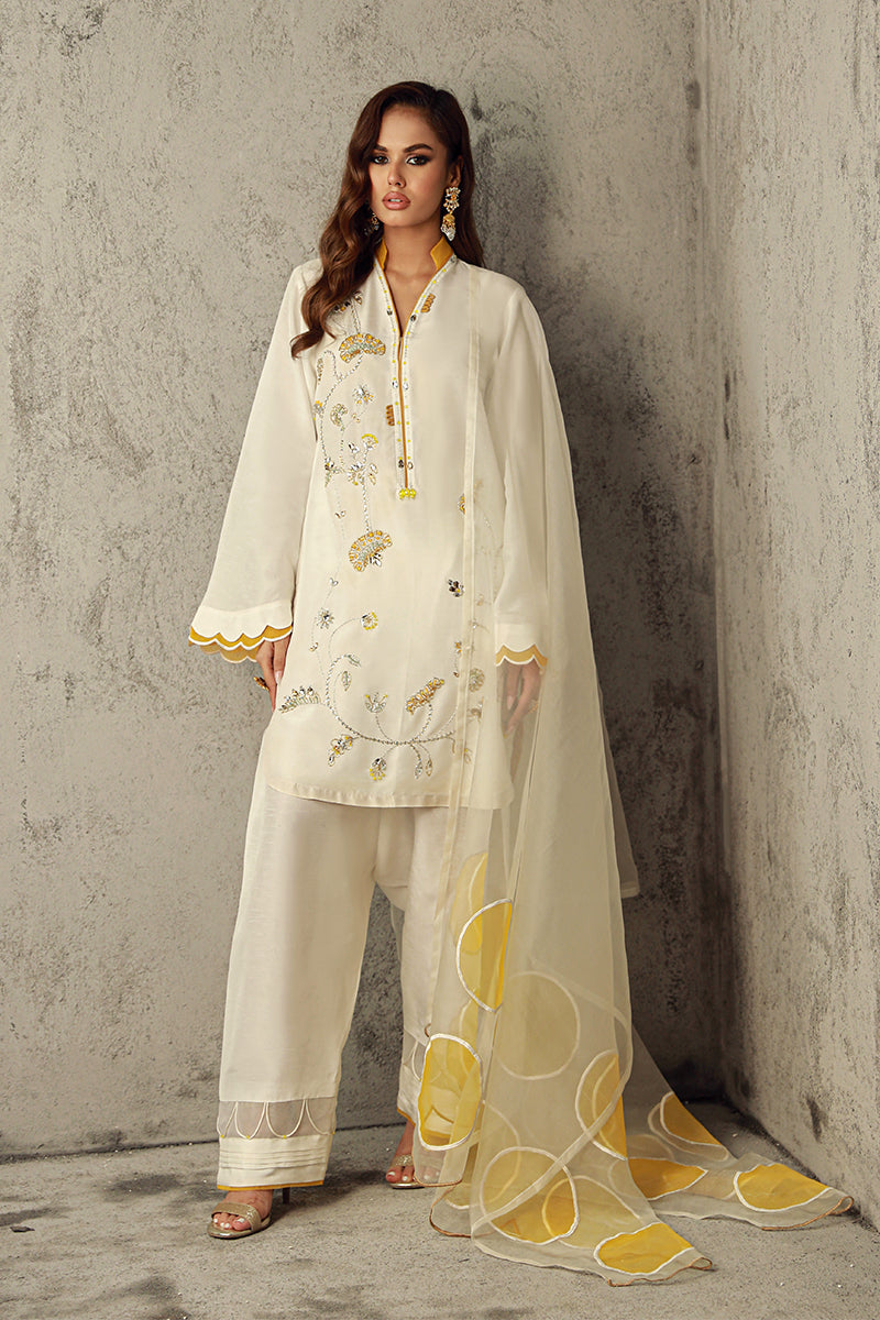 Wardha Saleem | Luxury Pret Traditional Wear | SUHA - Riwayat-e-Khas