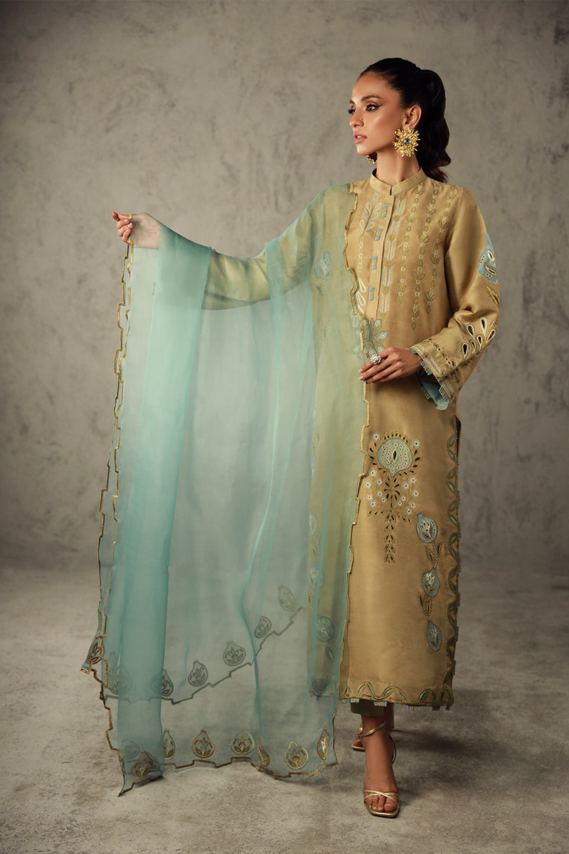 Wardha Saleem | Luxury Pret Traditional Wear | AMANI - Riwayat-e-Khas