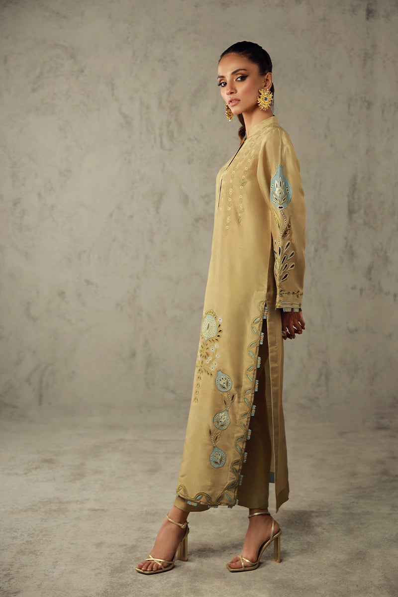 Wardha Saleem | Luxury Pret Traditional Wear | AMANI - Riwayat-e-Khas