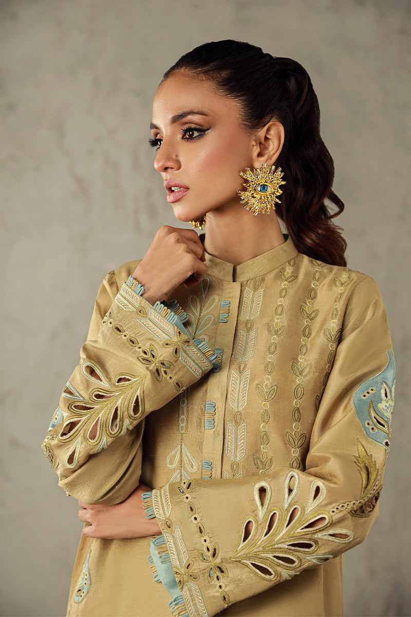 Wardha Saleem | Luxury Pret Traditional Wear | AMANI - Riwayat-e-Khas