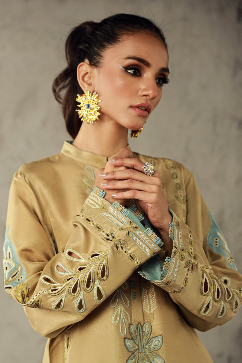 Wardha Saleem | Luxury Pret Traditional Wear | AMANI - Riwayat-e-Khas