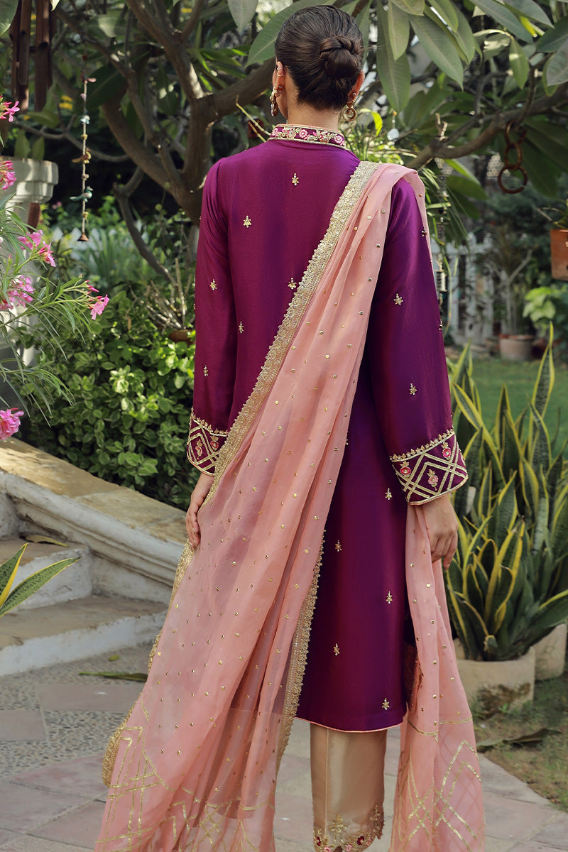 Sana Abbas | Velvet Formals | SPINEL - Riwayat-e-Khas