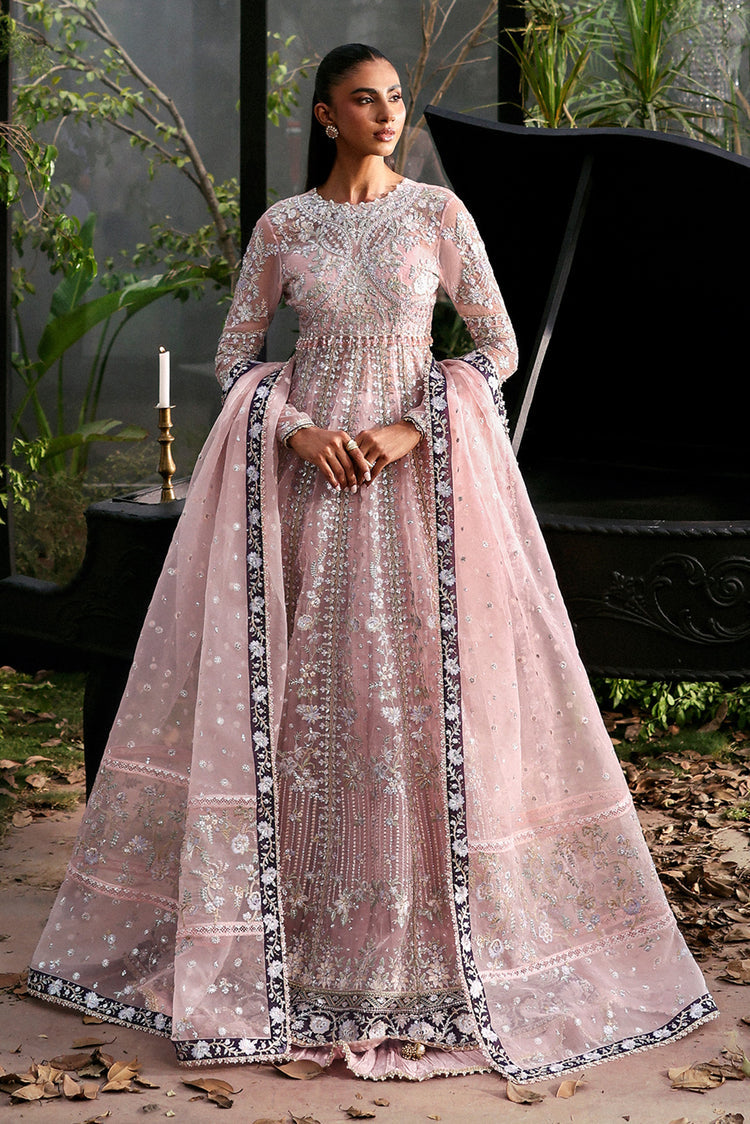 Afrozeh | La Fuschia 25 | Zeal