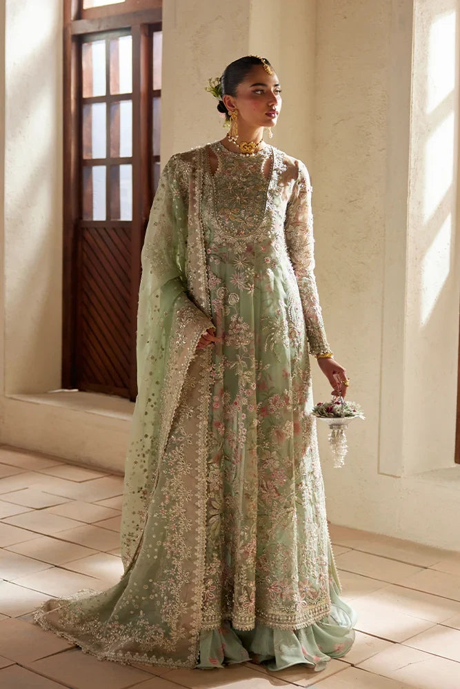 Suffuse | freeshia Ready To Wear 26 | Calene