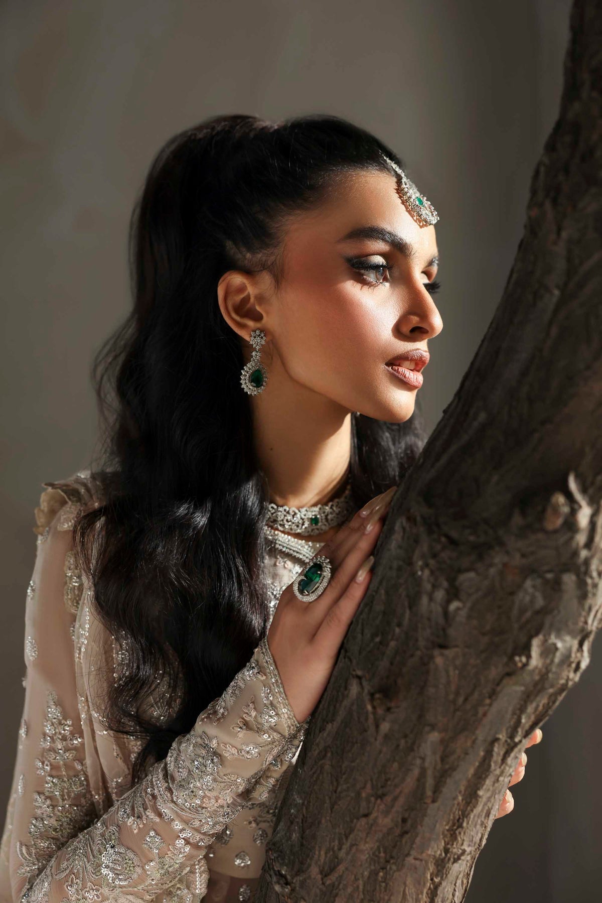Akbar Aslam | Meeras Luxury Chiffon 25 | Sehrya