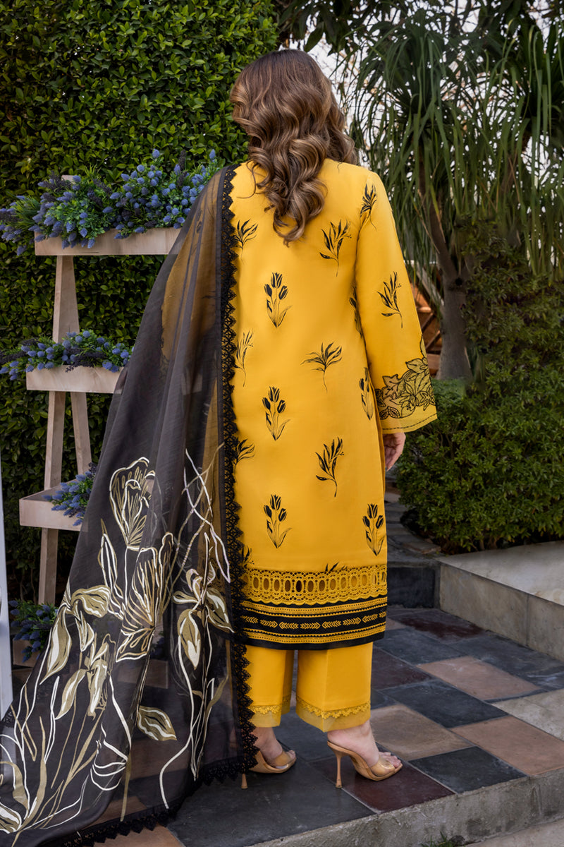 Rangrasiya | Florence Summer Edit 25 | Mirha - Riwayat-e-Khas