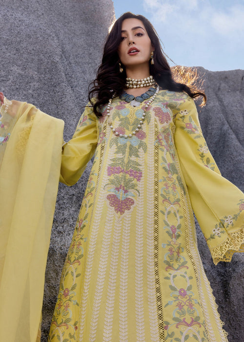 Saira Shakira | Luxury Lawn 25 | DILARA-B