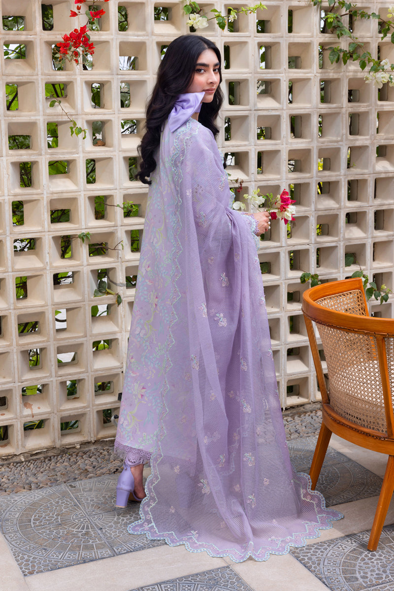 Rangrasiya | Carnation Luxury Festive Edit 25 | Lily