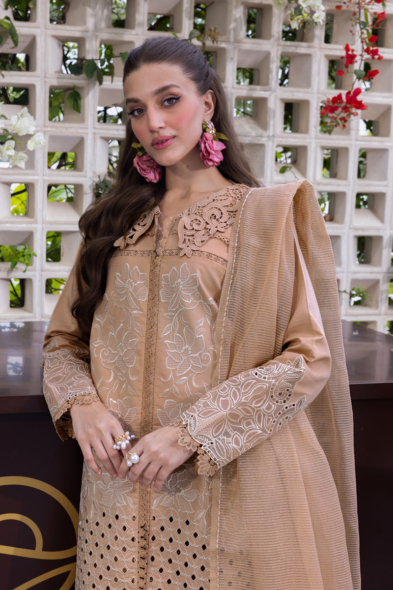 Rangrasiya | Carnation Luxury Festive Edit 25 | Kaia