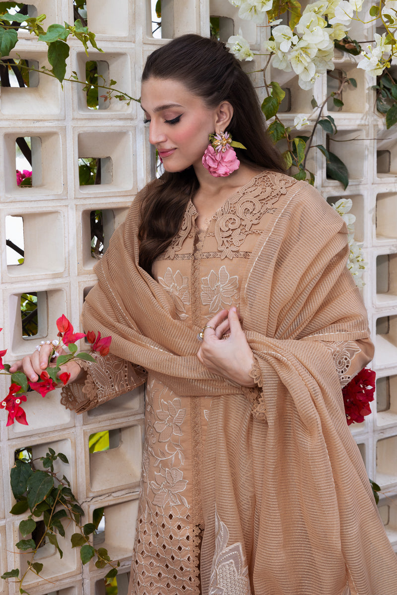 Rangrasiya | Carnation Luxury Festive Edit 25 | Kaia