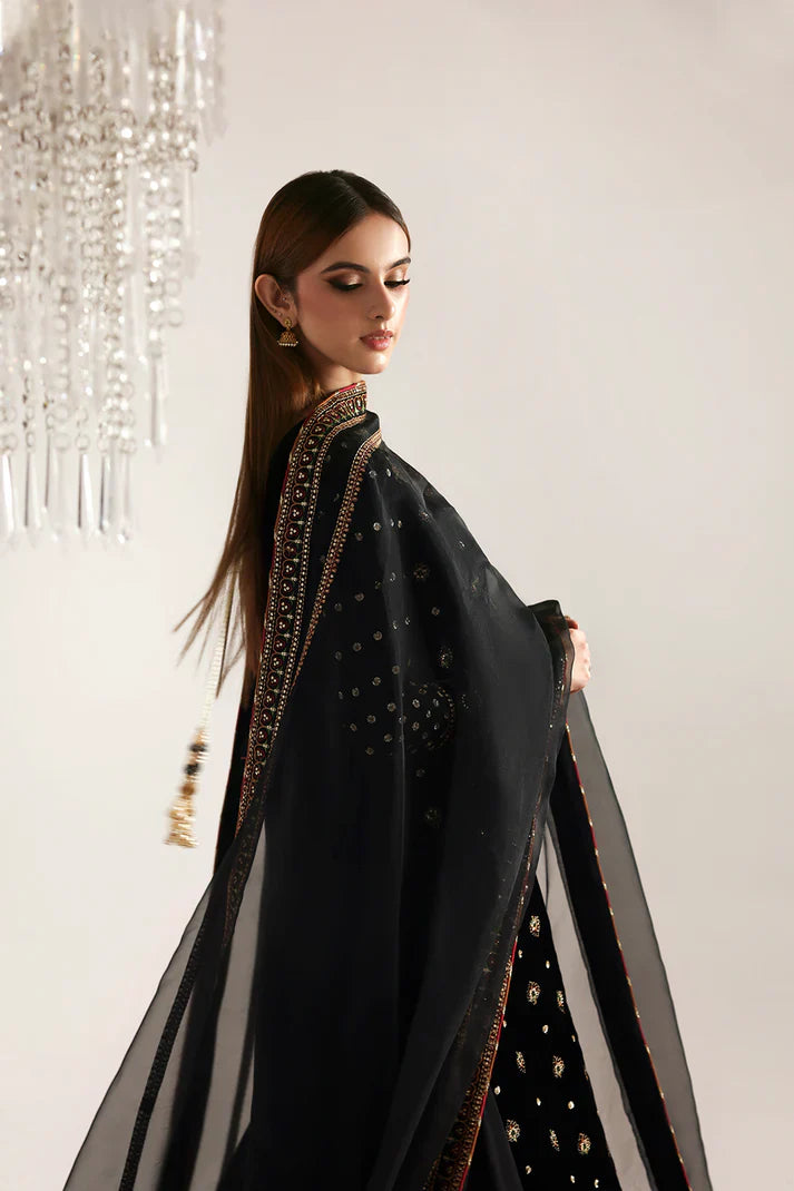 Emaan Adeel | Zarposh Velvet Collection | RAZIA