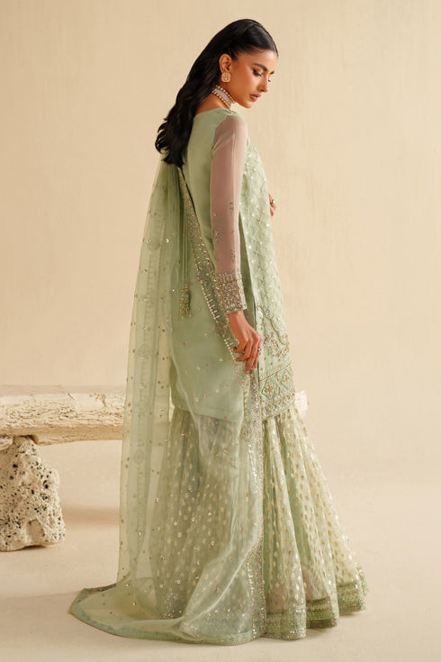 Naqshi | Feemora Organza Raw Silk | Hanam