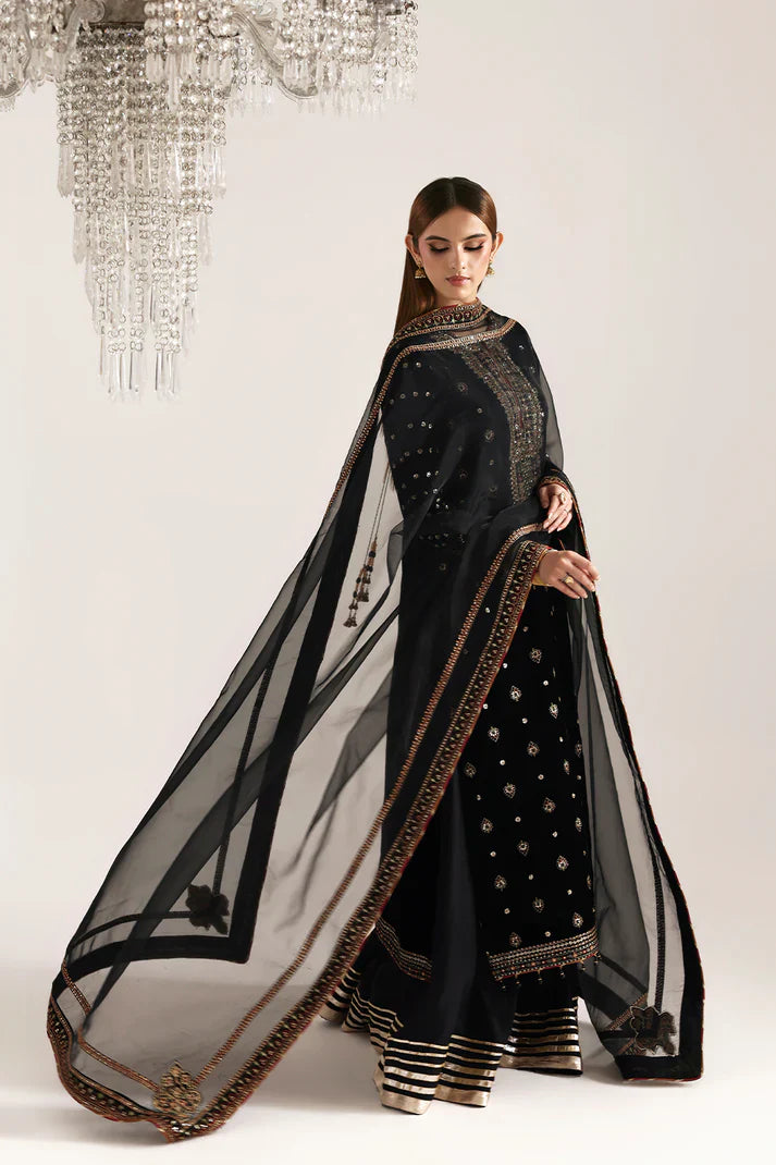 Emaan Adeel | Zarposh Velvet Collection | RAZIA