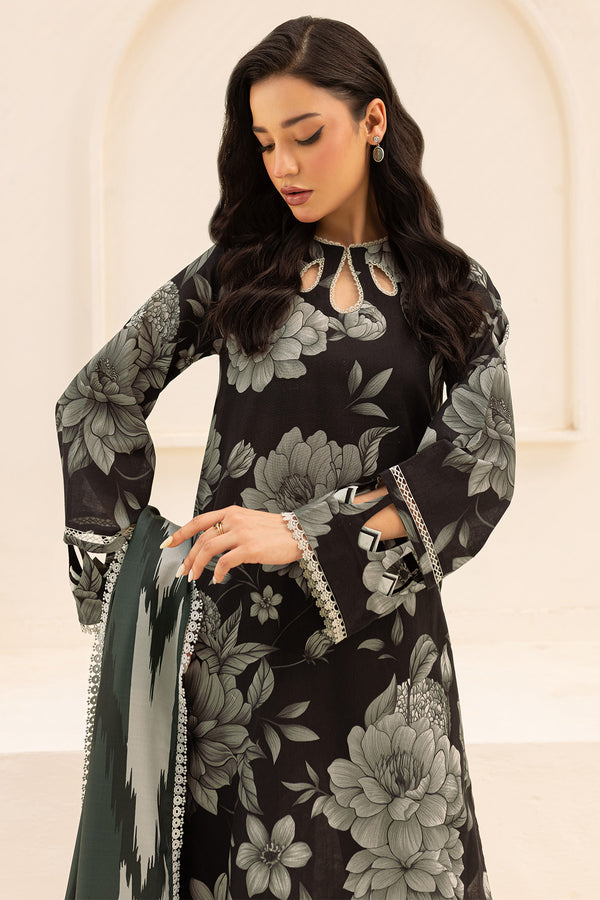 Farasha | The Winter Whispers | AYLIN