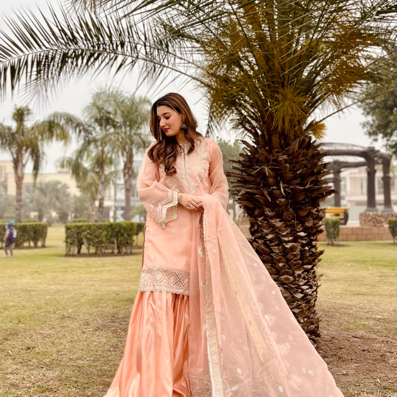 Daud Abbas | Formals Collection | Zaira - House Of Anaya