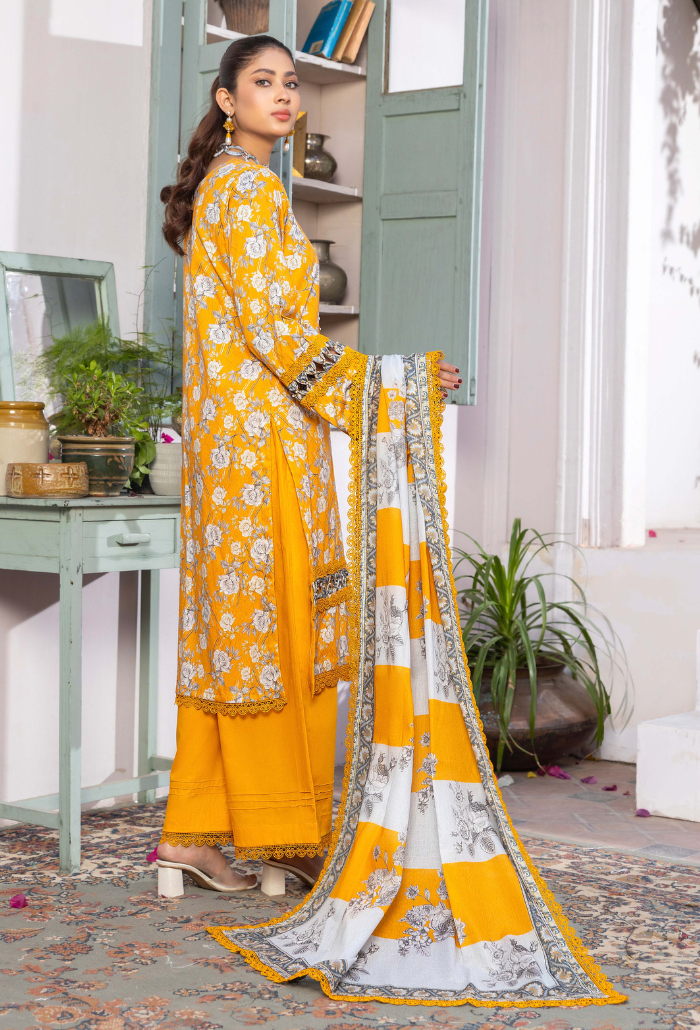 Humdum | Rang e Noor SS 24 | D04 - House Of Anaya