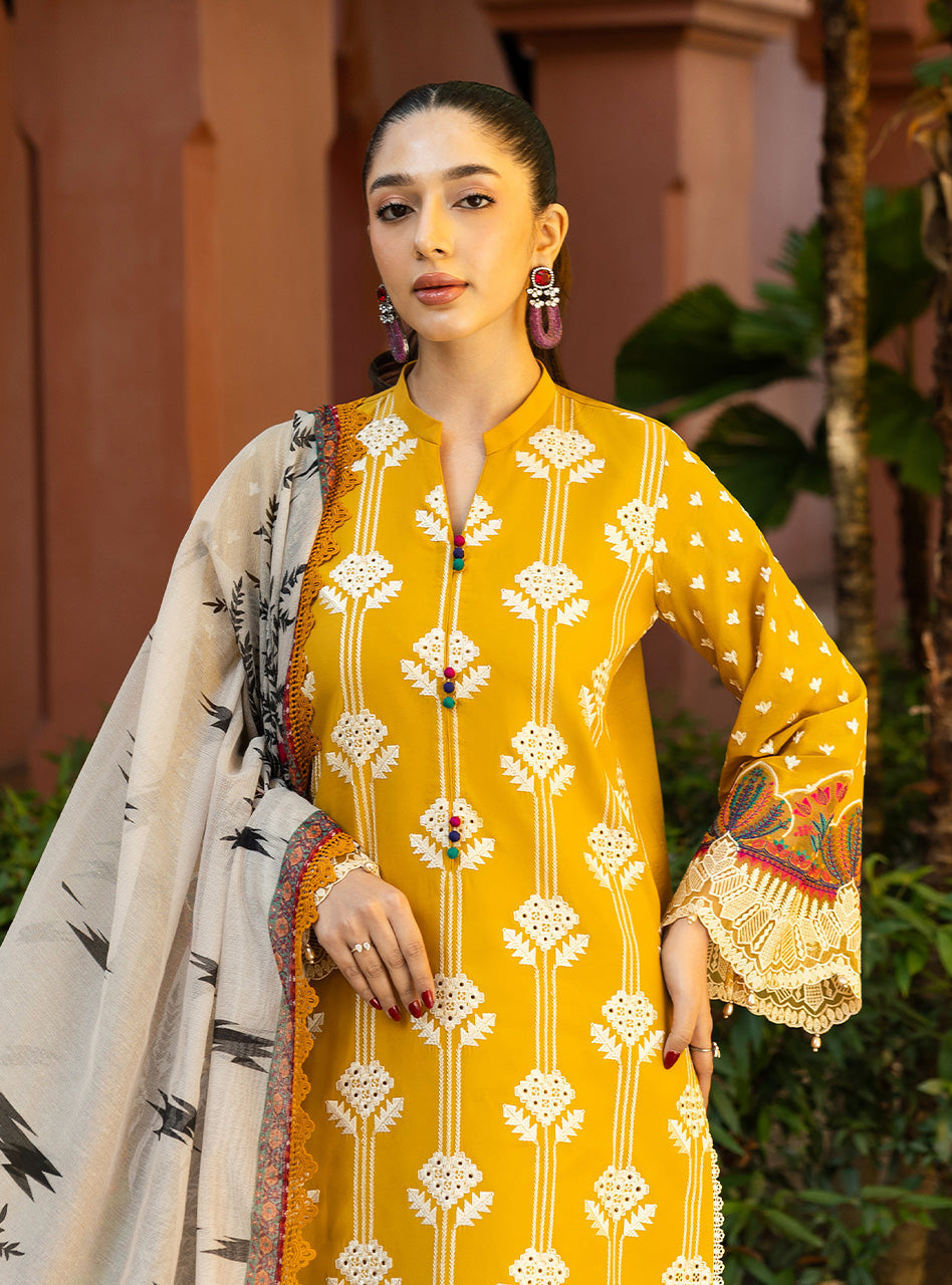 Zainab Chottani | Chikankari 25 | Aanya - 4A - Riwayat-e-Khas