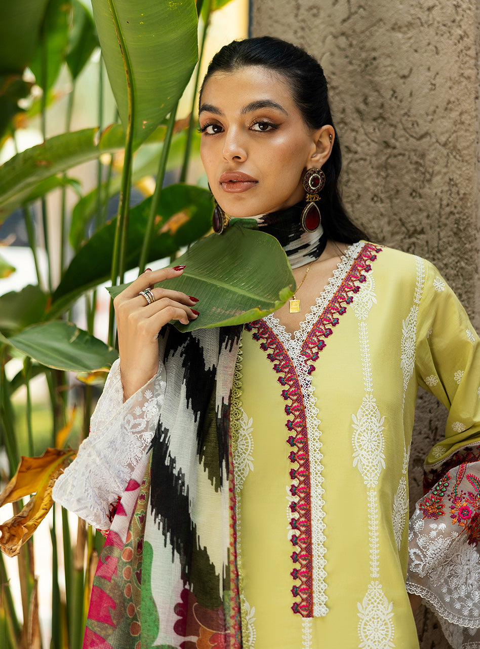 Zainab Chottani | Chikankari 25 | Rayne - 12A - Riwayat-e-Khas