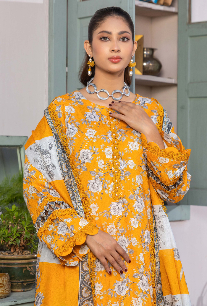 Humdum | Rang e Noor SS 24 | D04 - House Of Anaya