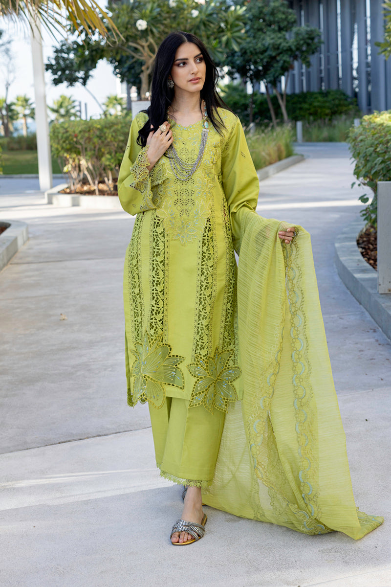 Rangrasiya | Carnation Summer Edit 25 | Aaleen - Riwayat-e-Khas