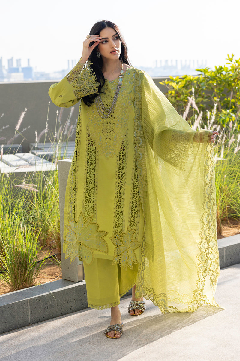 Rangrasiya | Carnation Summer Edit 25 | Aaleen - Riwayat-e-Khas