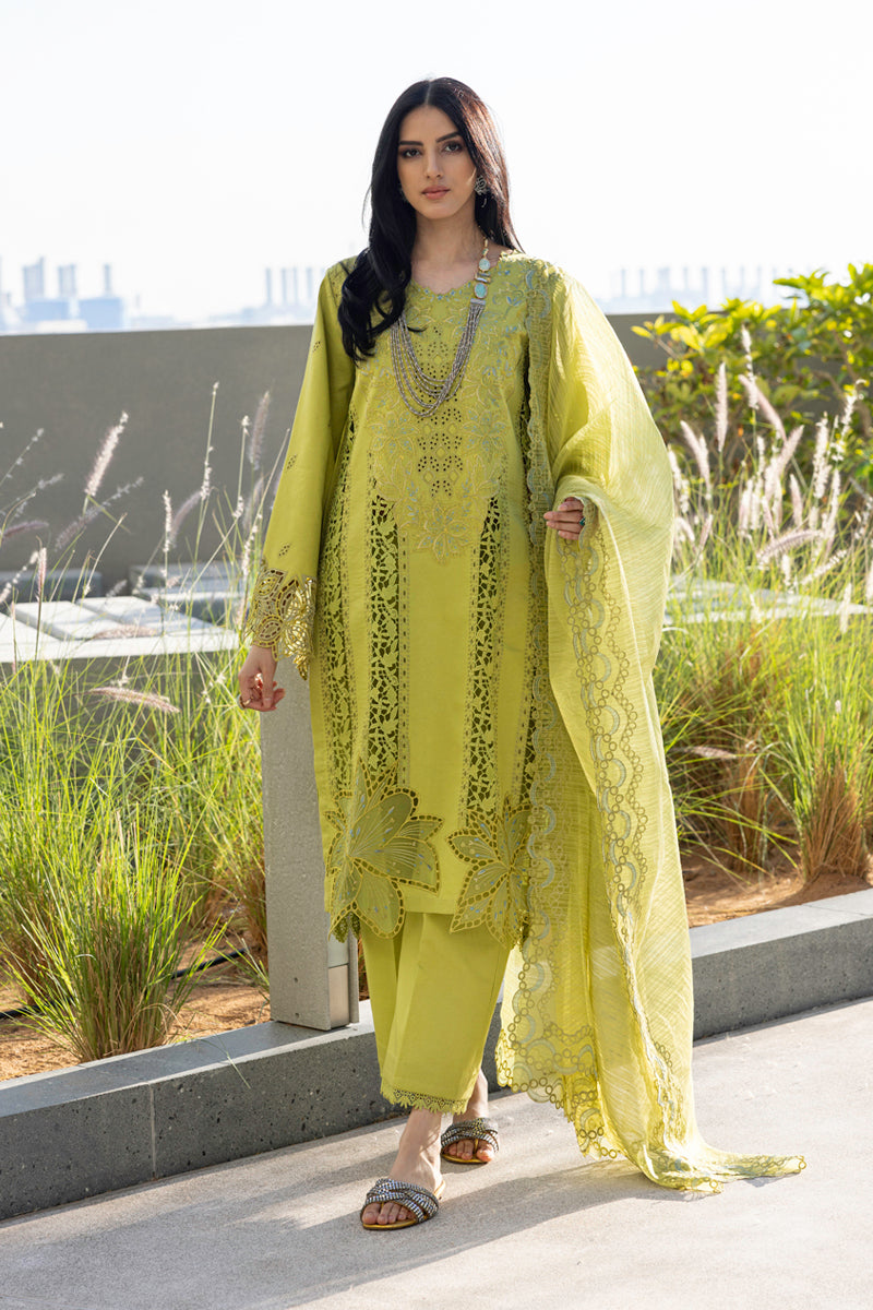 Rangrasiya | Carnation Summer Edit 25 | Aaleen - Riwayat-e-Khas