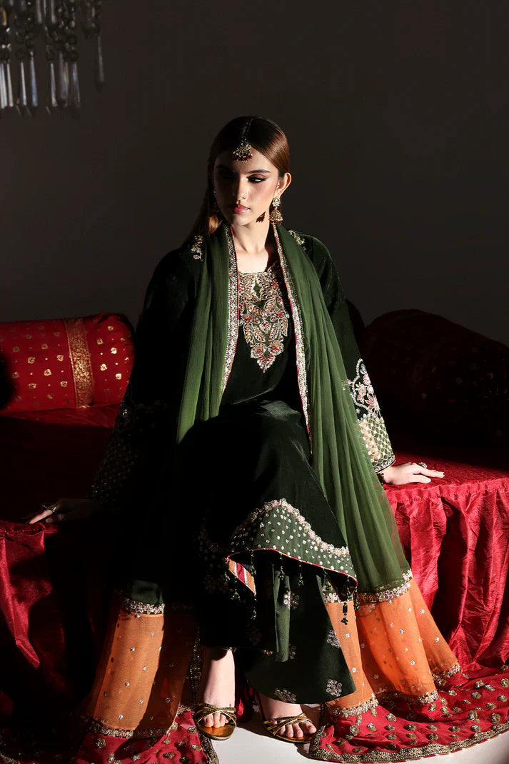 Emaan Adeel | Zarposh Velvet Collection | AARISH