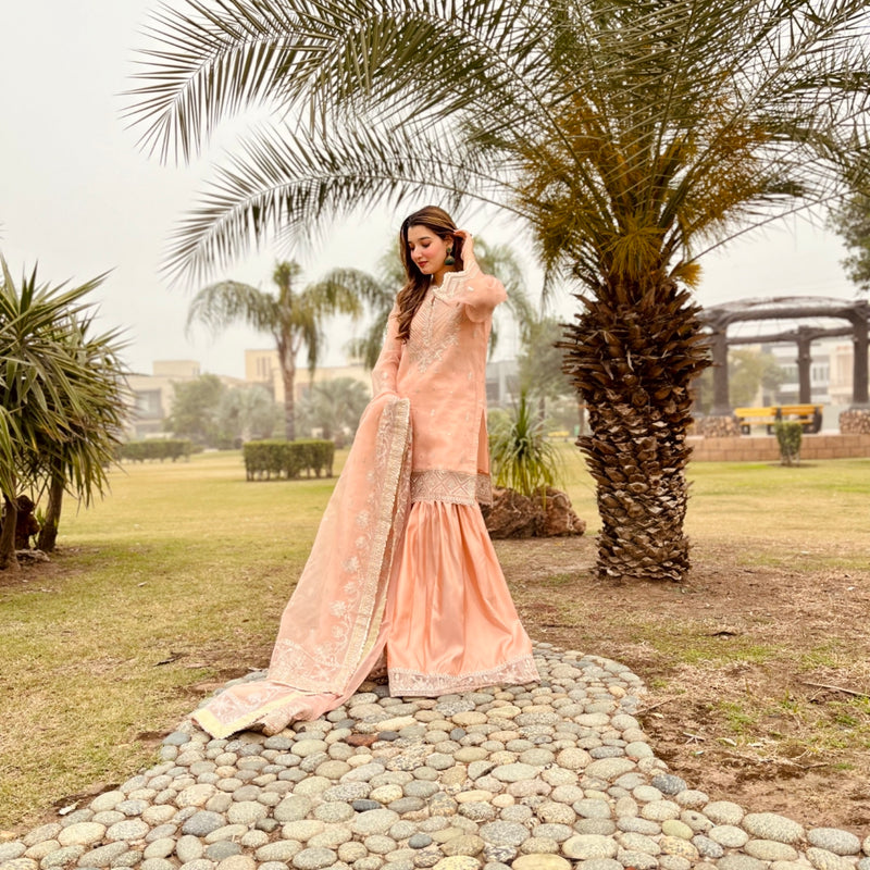 Daud Abbas | Formals Collection | Zaira - House Of Anaya
