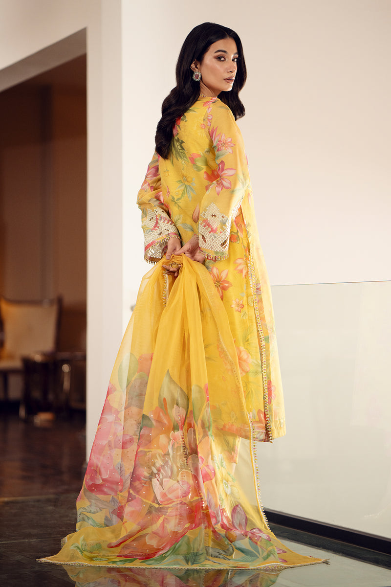Baroque | Luxury Pret 24 | COTTON PATTI UF-509 - House Of Anaya