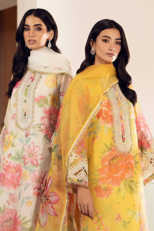 Baroque | Luxury Pret 24 | COTTON PATTI UF-509 - House Of Anaya