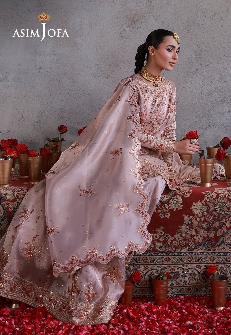 Asim Jofa | Ishq e Eid | AJULN-15 Embroidered Zari Tissue Net 3 Pcs