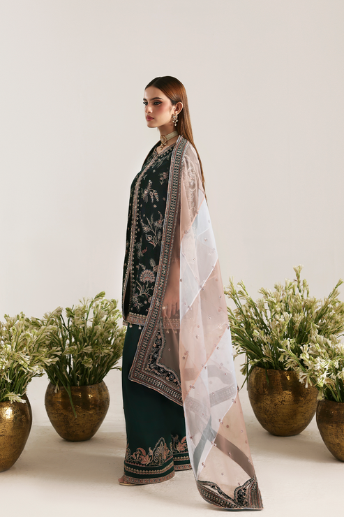 Emaan Adeel | Zarposh Velvet 25 | MEHRUUNISA