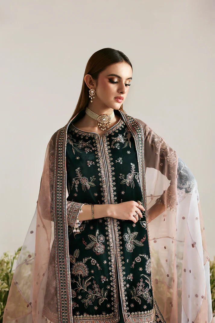 Emaan Adeel | Zarposh Velvet Collection | MEHRUUNISA