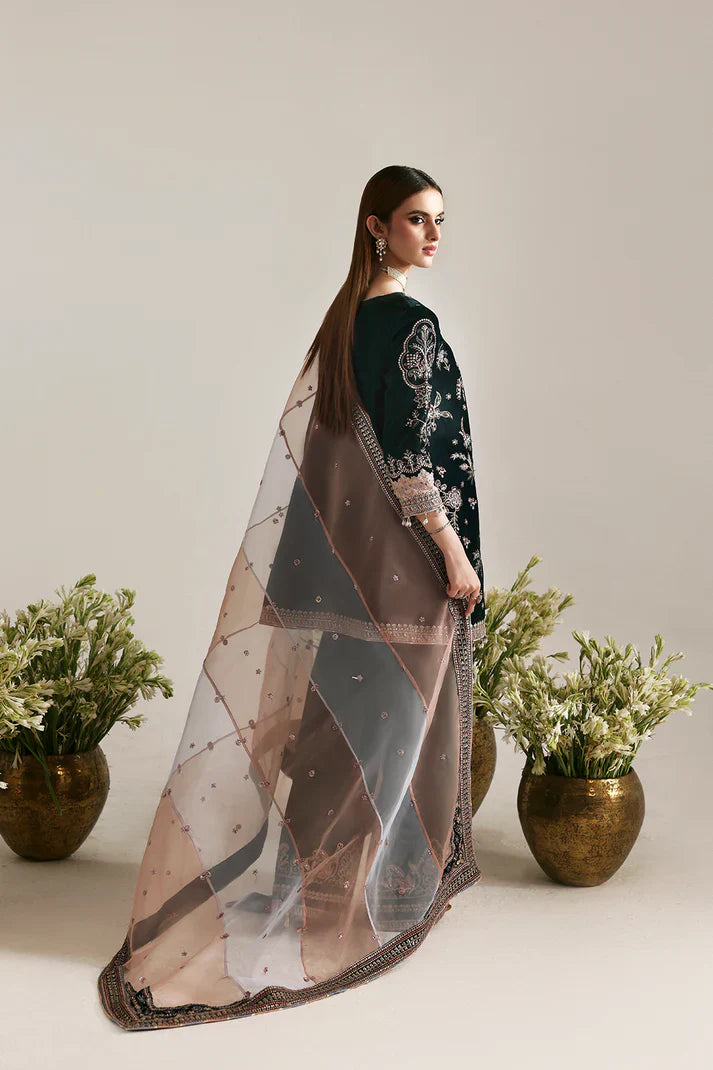 Emaan Adeel | Zarposh Velvet Collection | MEHRUUNISA