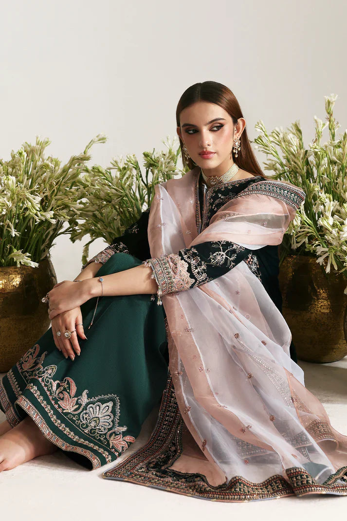 Emaan Adeel | Zarposh Velvet Collection | MEHRUUNISA