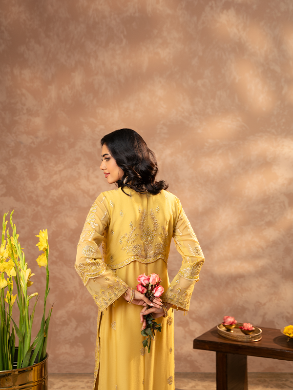 Zebtan | Zeenat Festive Collection | ZN-01 - Riwayat-e-Khas