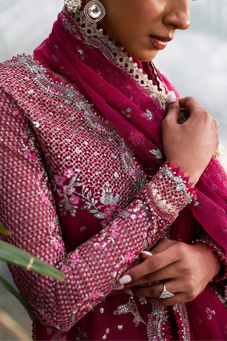 Afrozeh | La Fuschia 25 | Rowan