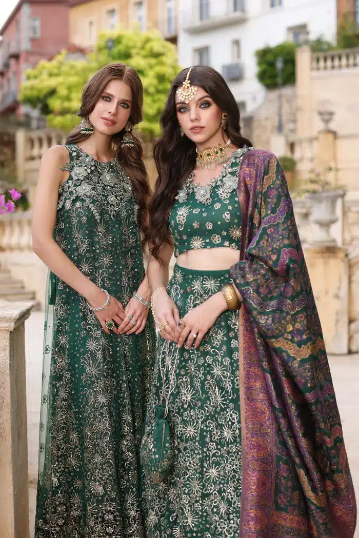 Noor by Saadia Asad | Kaani Wedding Formals 23 | D1 - House Of Anaya