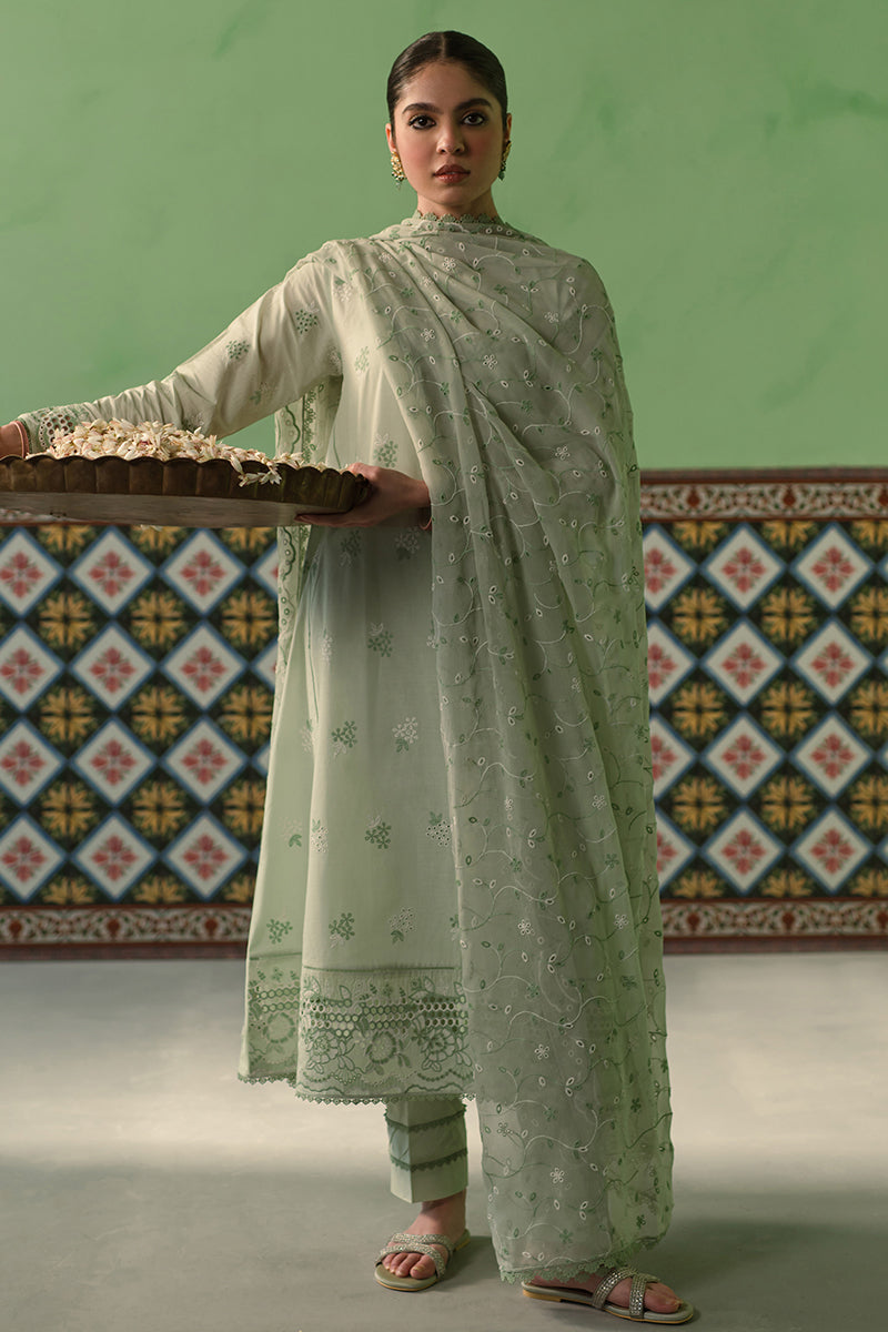 Cross Stitch | Chikankari Lawn Collection | P-01 - House Of Anaya
