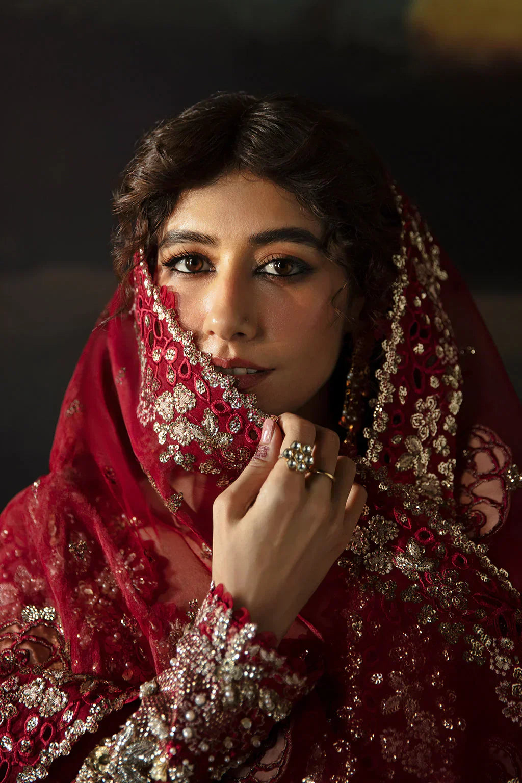 Hayat by Afrozeh Embroidered Organza 3Pc Suit AFH-24-07 ABEER