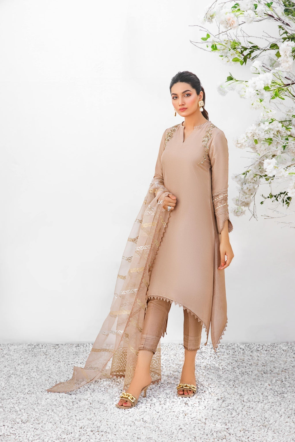 Anam Akhlaq | Festive Collection | D-18 - Riwayat-e-Khas