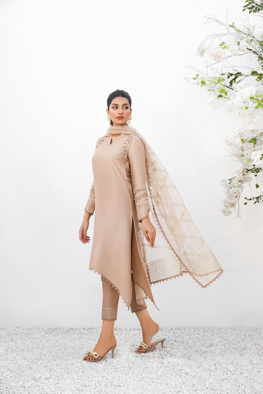 Anam Akhlaq | Festive Collection | D-18 - Riwayat-e-Khas