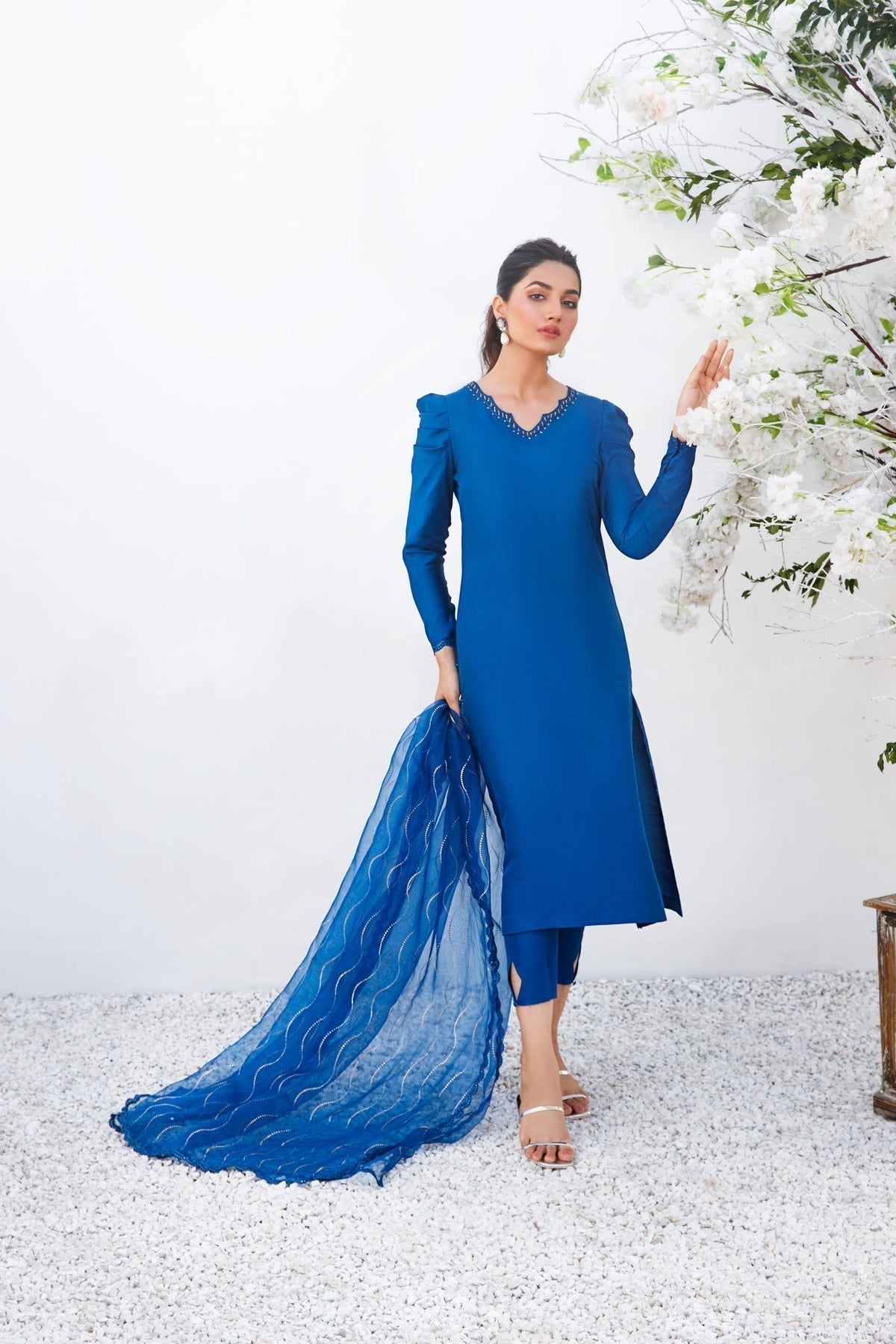Anam Akhlaq | Festive Collection | D-17 - Riwayat-e-Khas